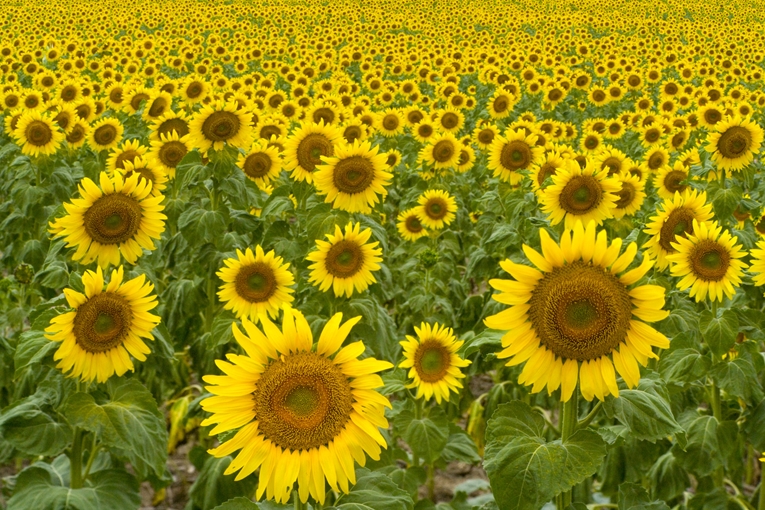 教育方針イメージ